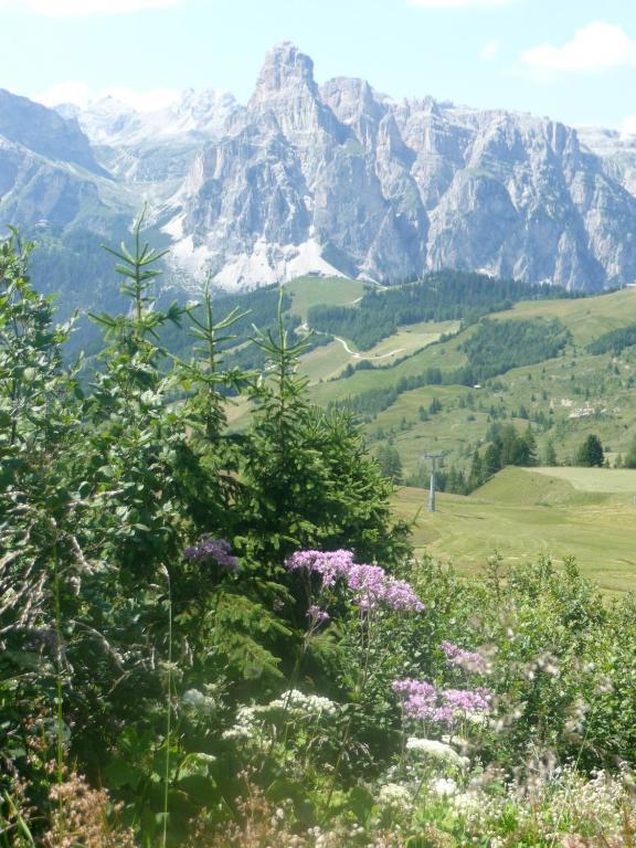 Garni Bonaria Aparthotel Corvara In Badia Eksteriør bilde