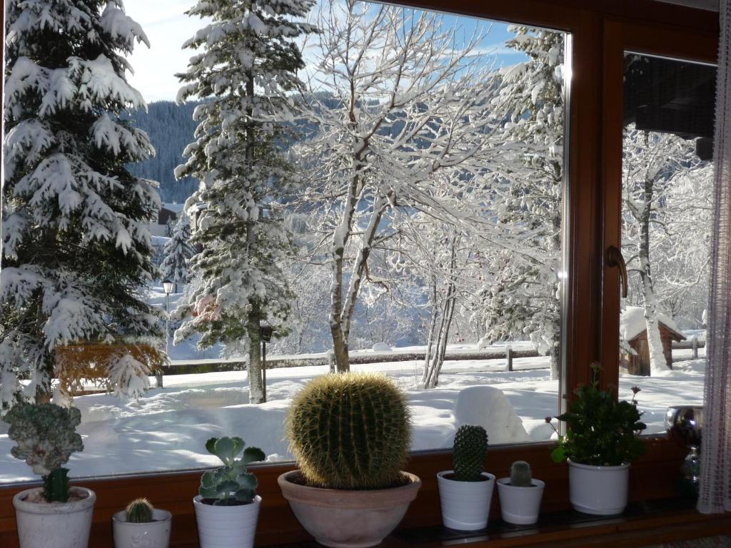 Garni Bonaria Aparthotel Corvara In Badia Eksteriør bilde